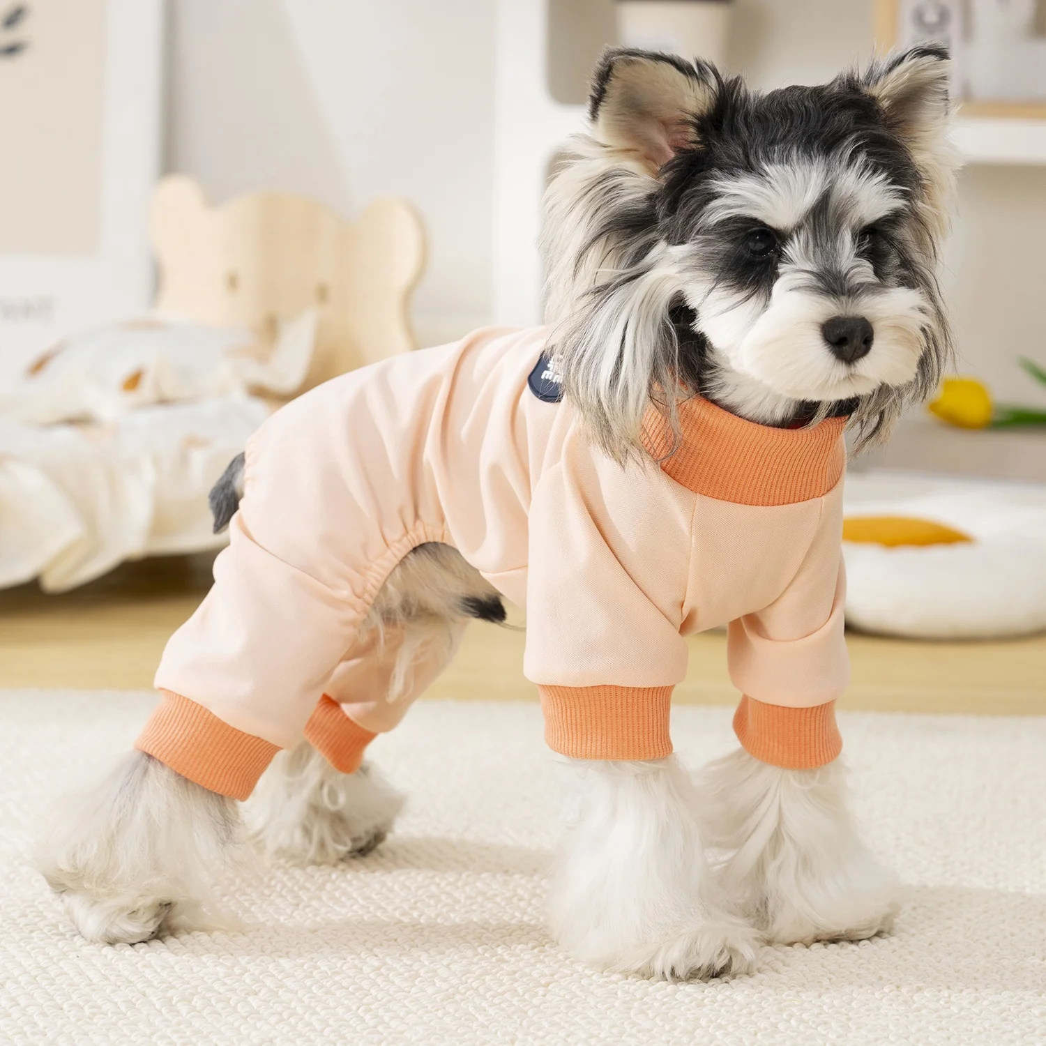 春夏用の薄手ペットウェア：犬を飼う初心者に最適な通気性と汚れ防止設計