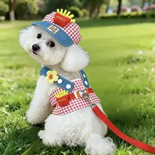 防脱落設計の犬用ハーネス付きリード【小型犬・幼犬用・首を締めない仕様】