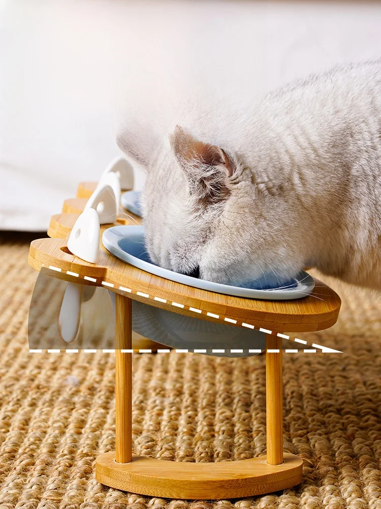 猫飼いが買ってよかったもの・悪かったもの正直に言う｜食器選びの完全ガイド
