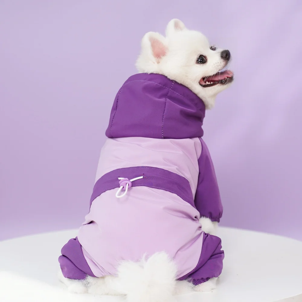 犬のお散歩グッズをコスパ良く揃える方法｜小型犬向け防寒コートの選び方と実際の使い方