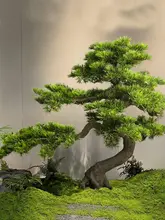 新中式風の枯山水風景 模擬松の木【室内外用・グリーンインテリア・禅スタイル】
