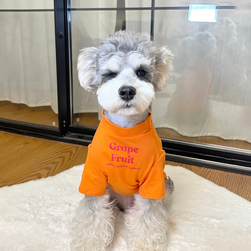 シュナウザーミックス用夏用薄手服：小型犬の快適な外出を実現