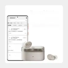 リアルタイムANC機能付きTWSイヤフォン【完全ワイヤレス・Bluetooth対応・入耳式】