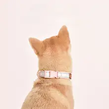 ペット用 中型・大型犬用ハーネス付きリード【胸部固定・移動用・軽量】