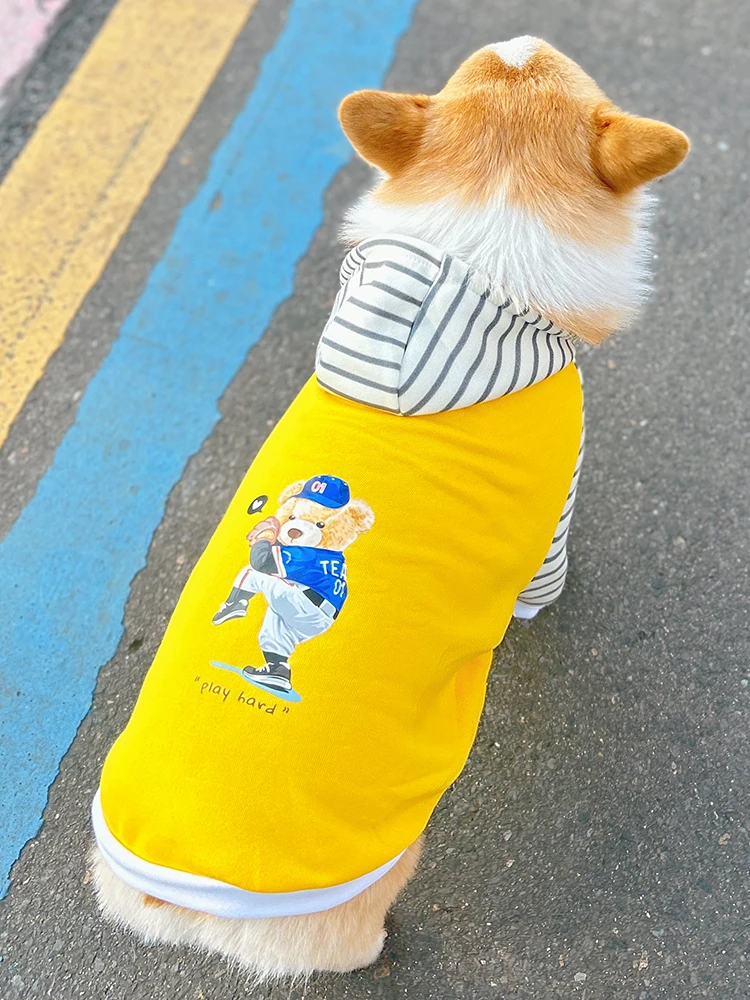 中型犬用フード付きペットウェア【春用・快適な着心地】の選び方と実用性