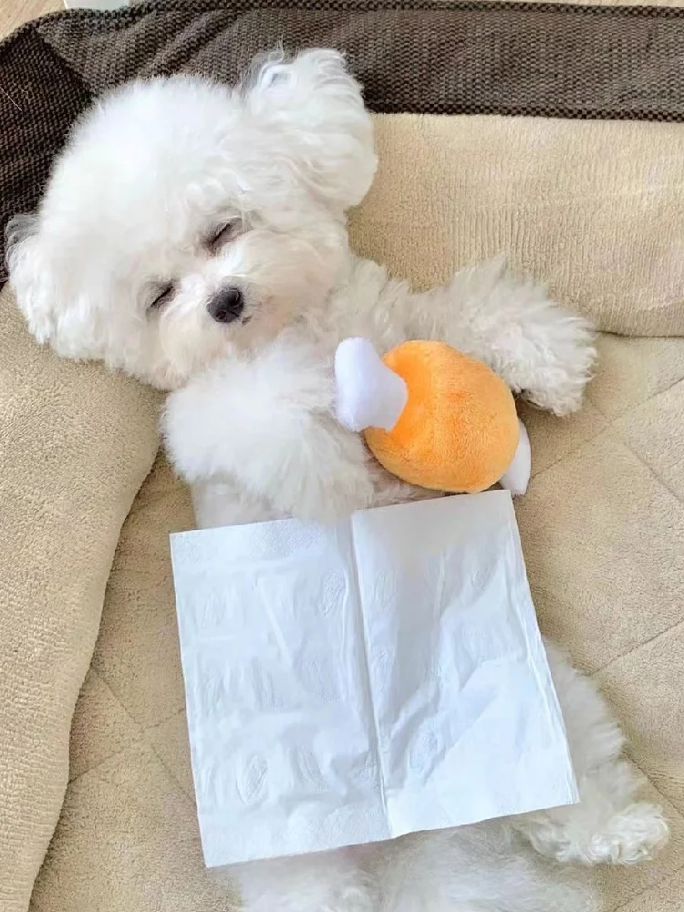 子供と暮らすとき、犬が噛むのは本当に安全なのか？