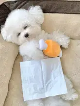 犬用おもちゃ【噛みごたえのある毛布の骨・鳴き声付き・小型犬用】