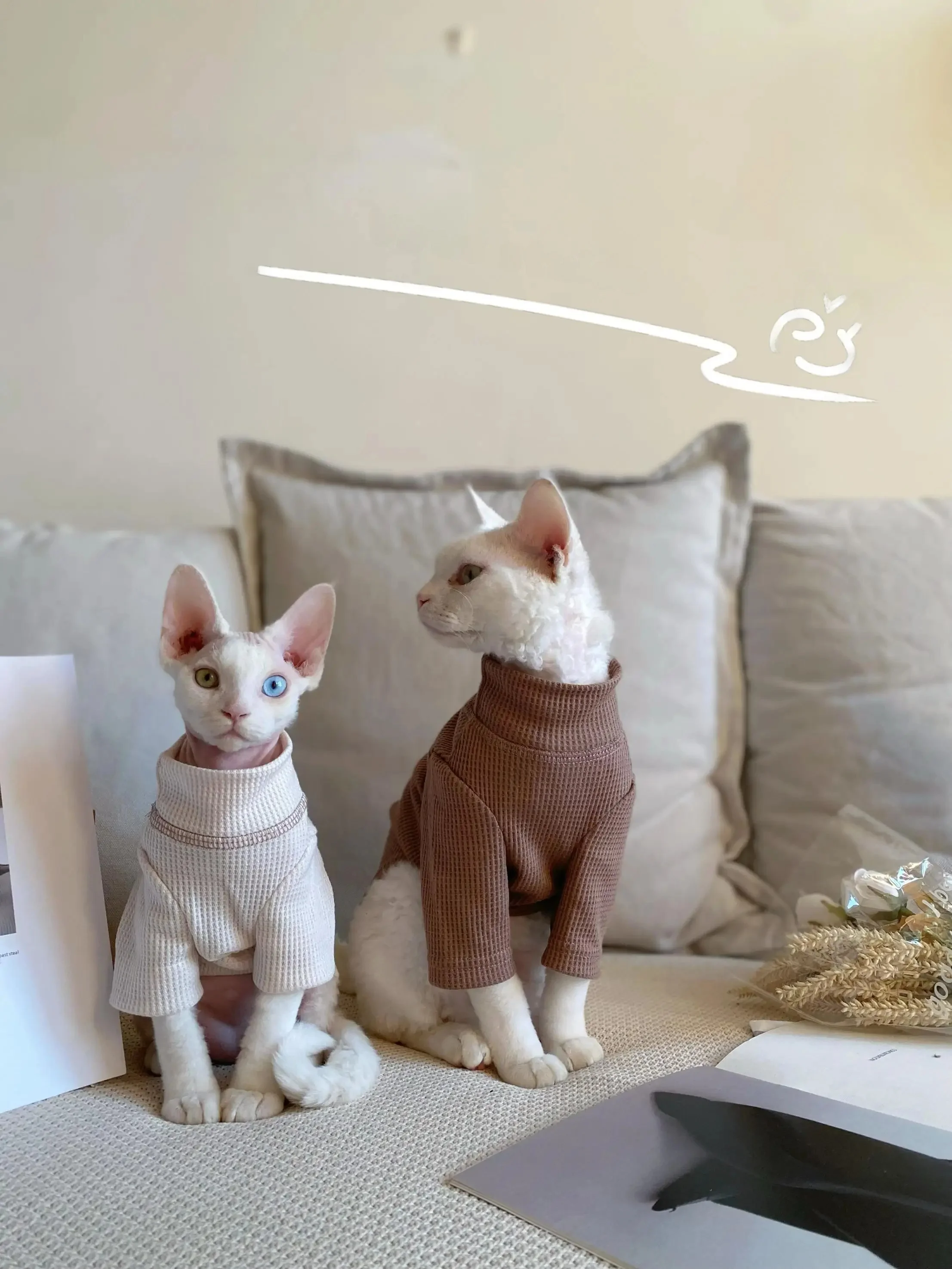 猫飼いが買ってよかったもの・悪かったもの正直に言う：春夏用スフィンクス猫用ワッフル生地のコットンTシャツ