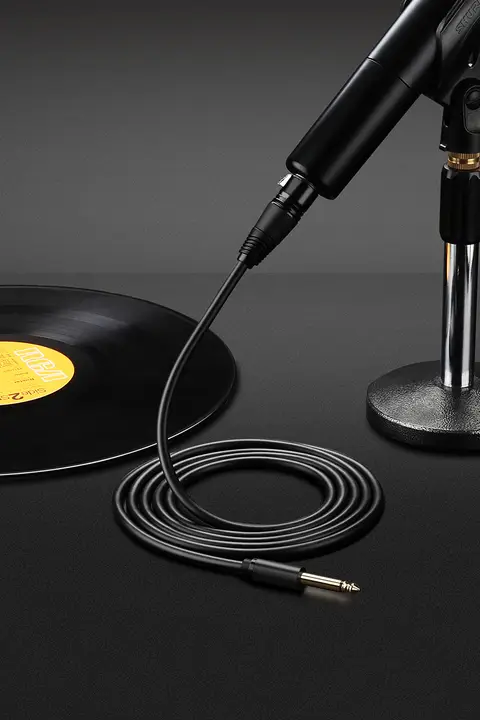 マイクケーブル 標準フォン カノン XLR オーディオケーブル スピーカー 接続 録音 「UGREEN」