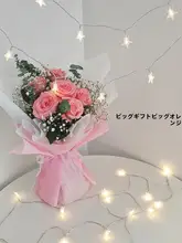 LED五角星形ライトストリング【キャンプや部屋の星空装飾用】