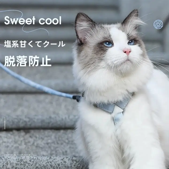 調整可能なハーネス型ペット用猫用リード【脱走防止・お出かけ用】