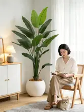 リアルな植物 大型フロアデコレーション 客間 ソファの横 高級ラグジュアリー