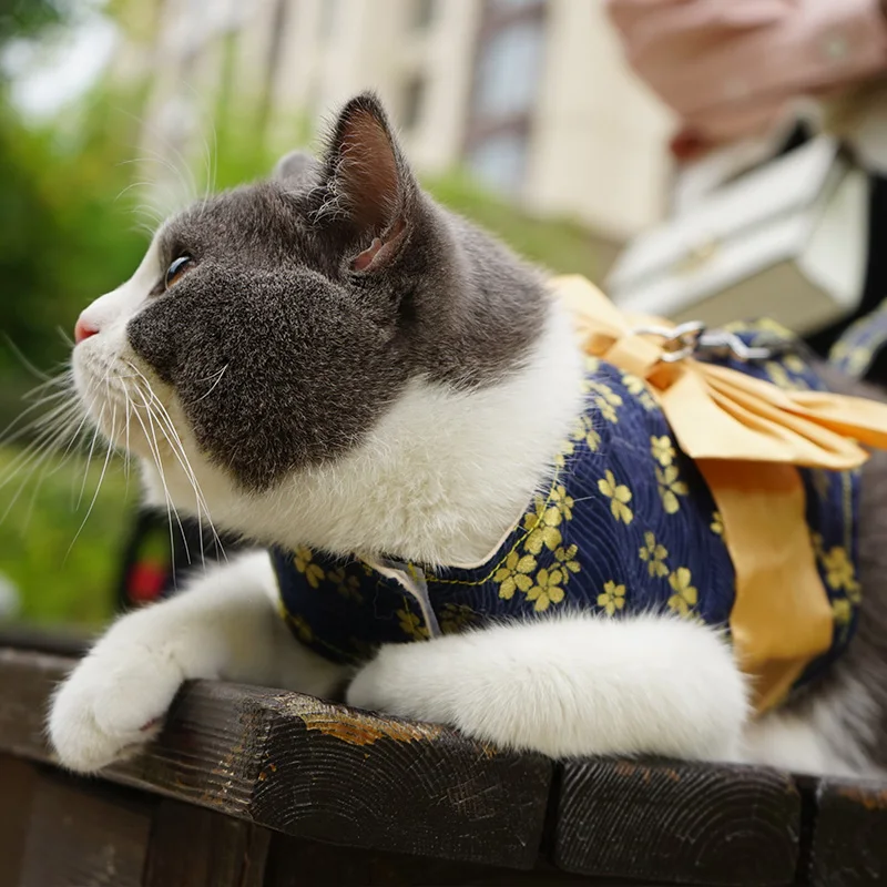 かわいいハーネスを選ぶときに迷うなら、この1つのスタイルが答えになる？