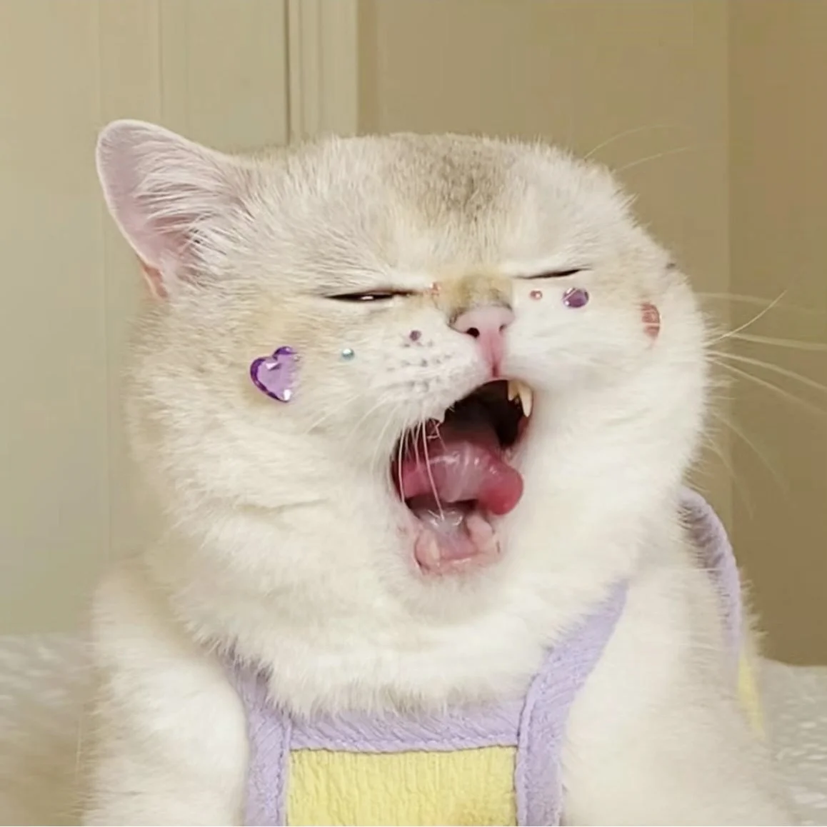 猫 モチーフ ブランド で人気のステッカー：VOAの3Dクリスタルデザインを実際の使用で検証