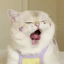 猫 ステッカー 犬 クリスタルステッカー ペット 誕生日 装飾 3D 立体