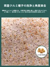 魔芋製 洗顔スポンジ【男女兼用・天然素材・柔らかい・メイク落とし対応】