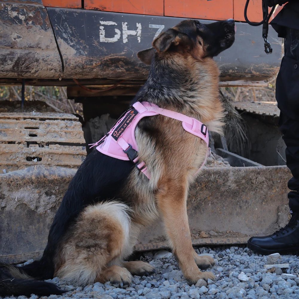 犬用タクティカルベスト： 胸部ハーネス付きの通気性と耐久性を実証