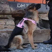 犬用タクティカルベスト【中型・大型犬用・胸部ハーネス・リード付き】