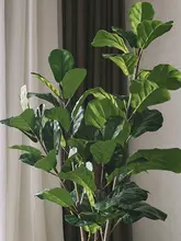 フェイツリー 大型植物 室内 家具 グリーン デコレーション