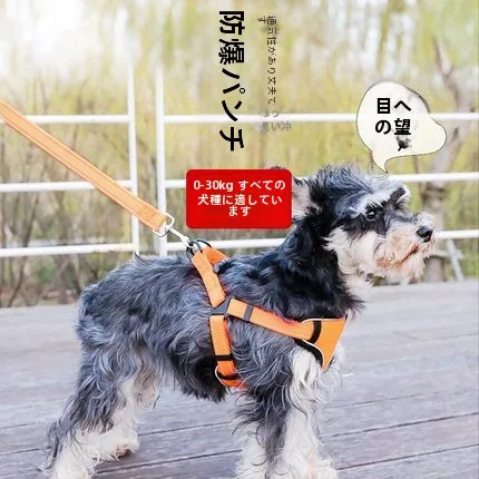 梅雨に備えて買うべき！反射シルクと自動巻き取り式の選び方完全ガイド