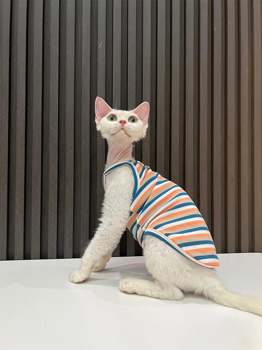 猫の商品で何がおすすめ？厳選3選と選び方の実践ノウハウ