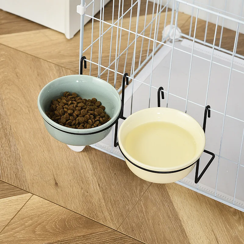 猫の食器選びで悩むなら、このセラミックボウルが本当に救ってくれる？