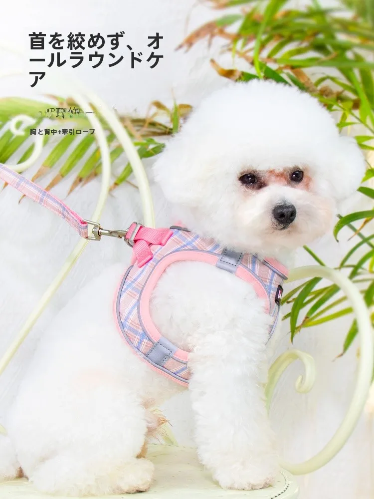 犬のお散歩グッズをコスパ良く揃える方法 - タンクトップ首輪のサイズ・素材・季節対応