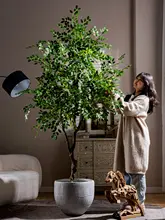 大型の偽造植物 榆钱樹 榕樹 屋内 リビング 高級 フロア ポットの偽樹 装飾品 雰囲気のアイテム