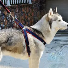 ペット ハーネス リード 犬用引きひも 小型犬 中型犬 大型犬 ゴールデンレトリバー用品
