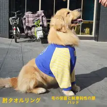 中型犬用 膝保護衣【柴犬・ボーダーコリー・サモエド・ゴールデン・ハスキー対応】