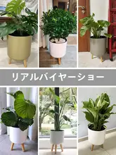 モダンデザインの自動吸水機能付き大号プラスチック花盆【スタンド付き・リビング用・観葉植物用】