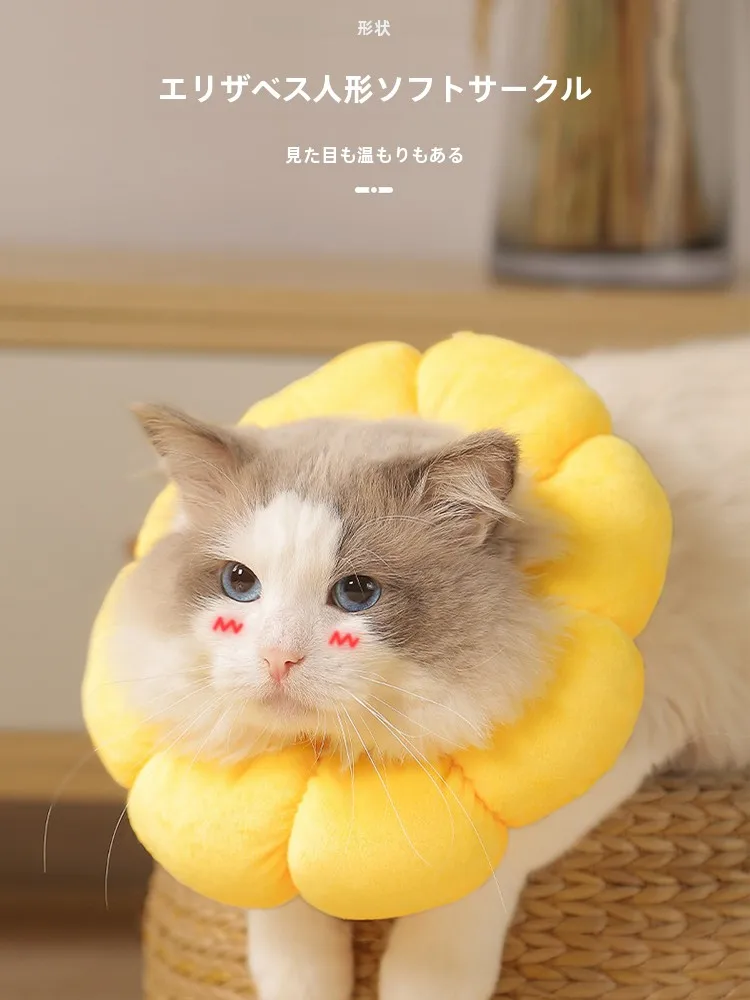 猫を飼った後、本当に買ってよかったものって何？