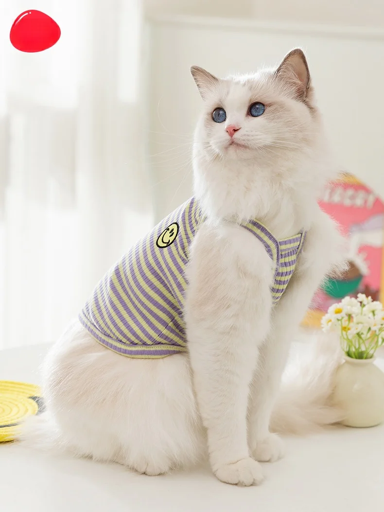 猫飼いが買ってよかったもの・悪かったもの正直に言う | 幼猫向けサスペンダー型猫の服の設計と機能性