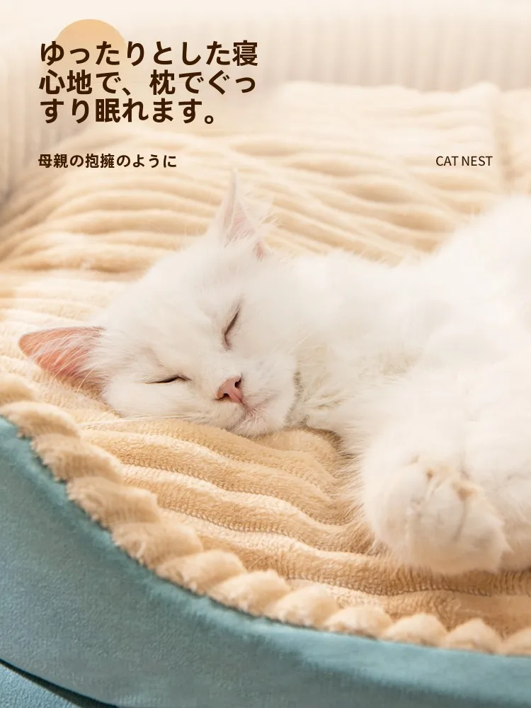 猫飼いが買ってよかったもの・悪かったもの正直に言う｜ドーナツ型ベッドの実際の効果と選び方
