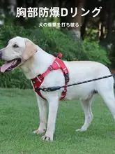 中大型犬用ハーネス式リード【防爆デザイン・金毛・ラブラドール対応】