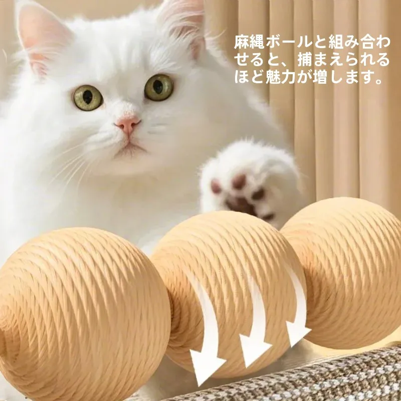 二重構造の猫ベッド兼キャットスクラッチャー：大型猫向けの省スペース設計と四季対応