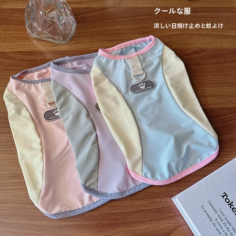 フル活用した節約生活で失敗しない花瓶の選び方・活用法