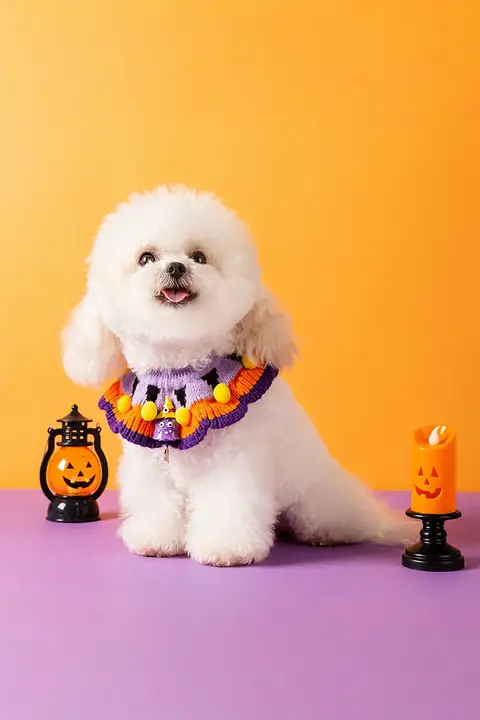ペット用 ハロウィン 手編みの首輪【可愛い猫用・小型犬用・ニットデザイン】