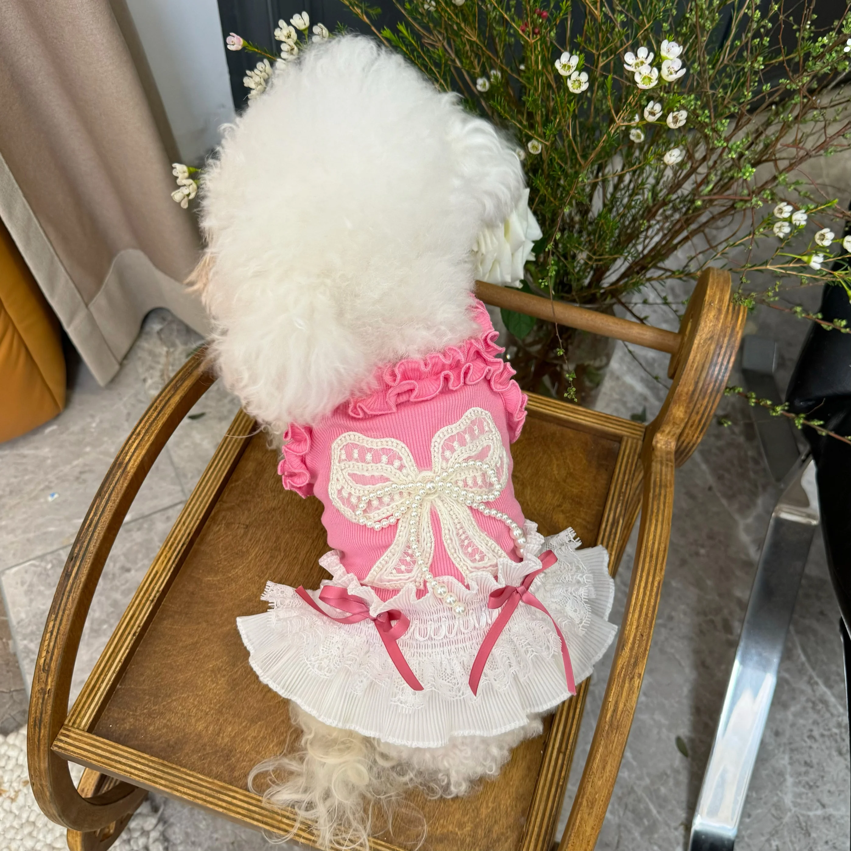 ペット用レースキャミソールドレス：初心者向けの室内飼育に最適なファッションアイテム
