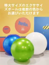 大きなヨガボール【ブラック・ホワイト・カラフル・子供用・感覚統合トレーニング使用】