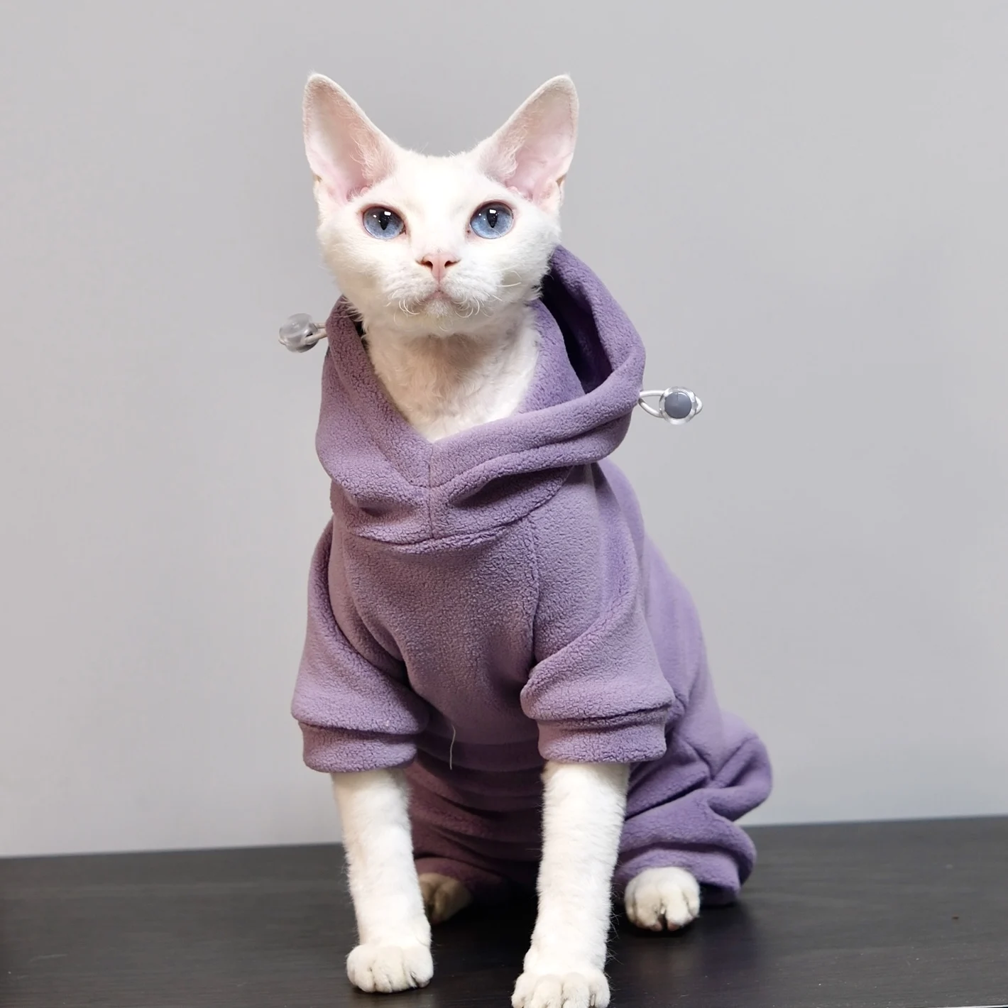 猫飼いが買ってよかったもの・悪かったもの正直に言う｜スフィンクス猫向け冬用パーカーの実測ガイド