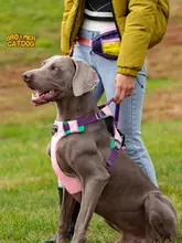 ペット ハーネス 中型 大型犬 用 防爆 引張可能 ベスト タイプ 散歩用リード