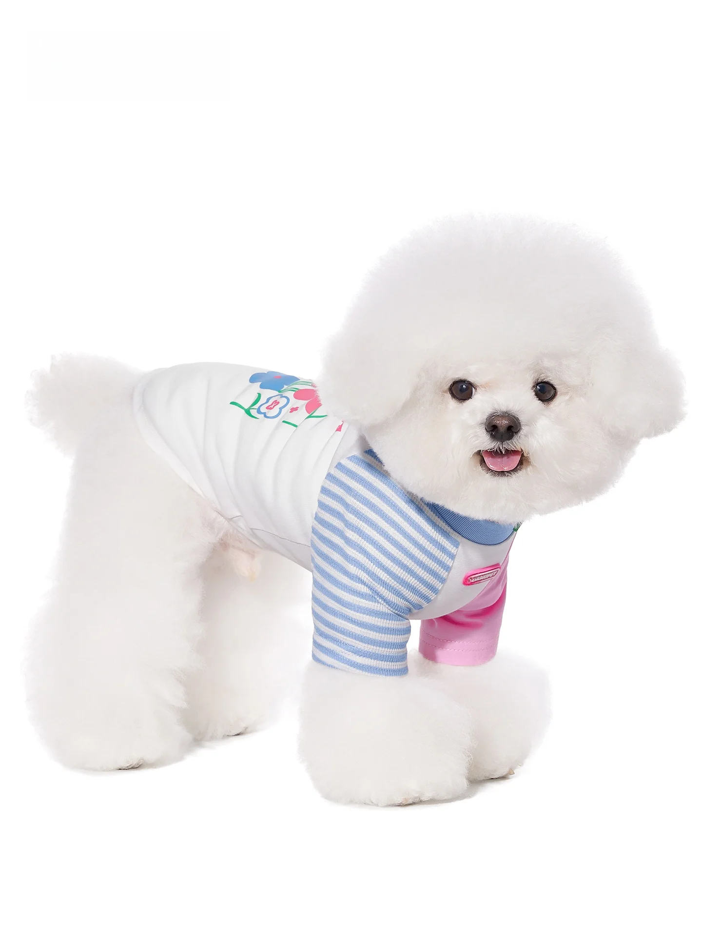 春用犬用Tシャツ：mooki petの涼感デザインが夏のペットライフをサポート