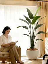 リアルな植物 大型フロアデコレーション 客間 ソファの横 高級ラグジュアリー