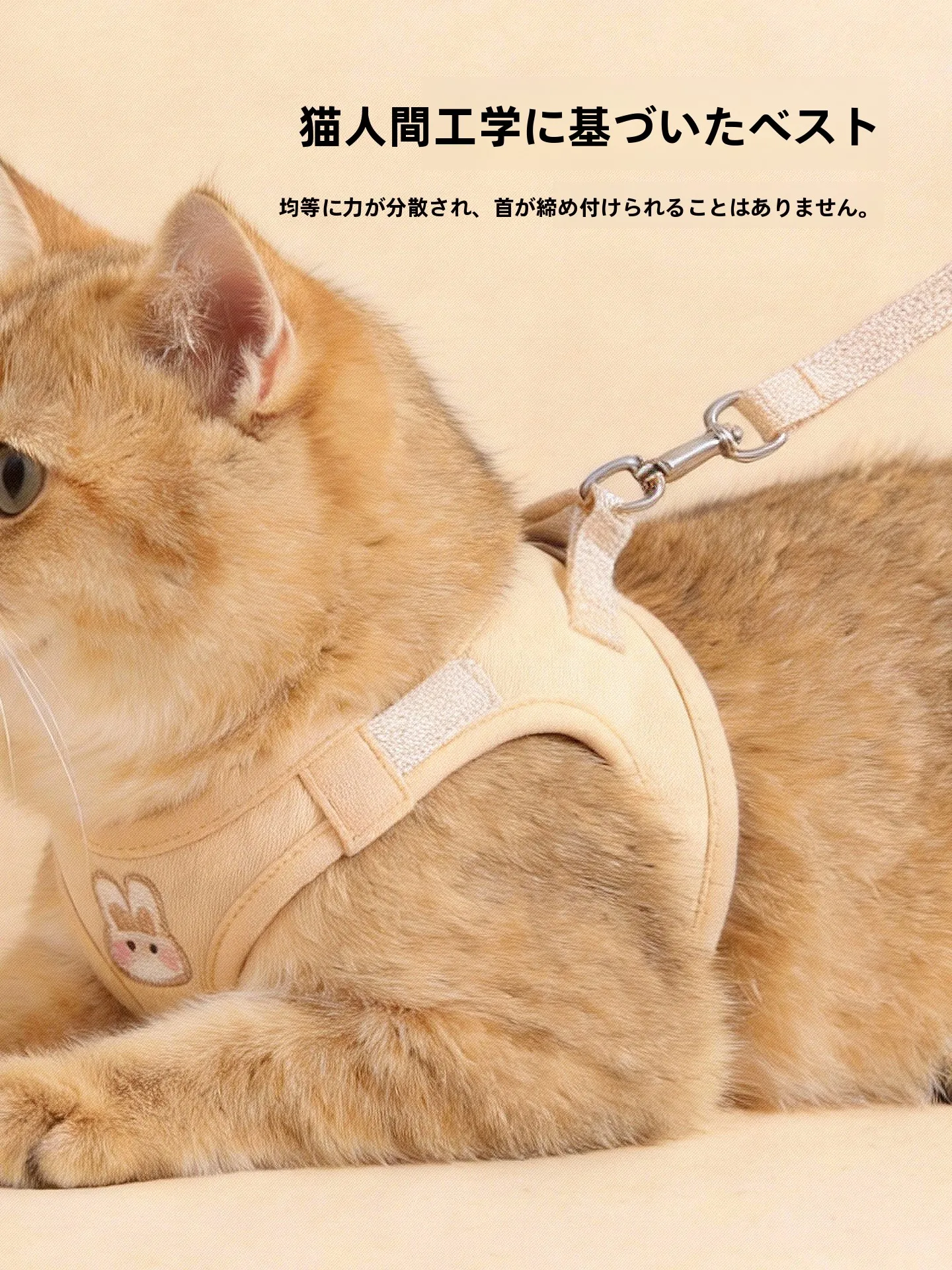 猫用胸部ハーネスとリード：調整可能で脱走防止の快適フィット感を実現