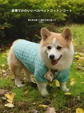 犬用秋冬コーギー用棉製ジャケット【極上の柔らかさ・保温・ベストタイプ】