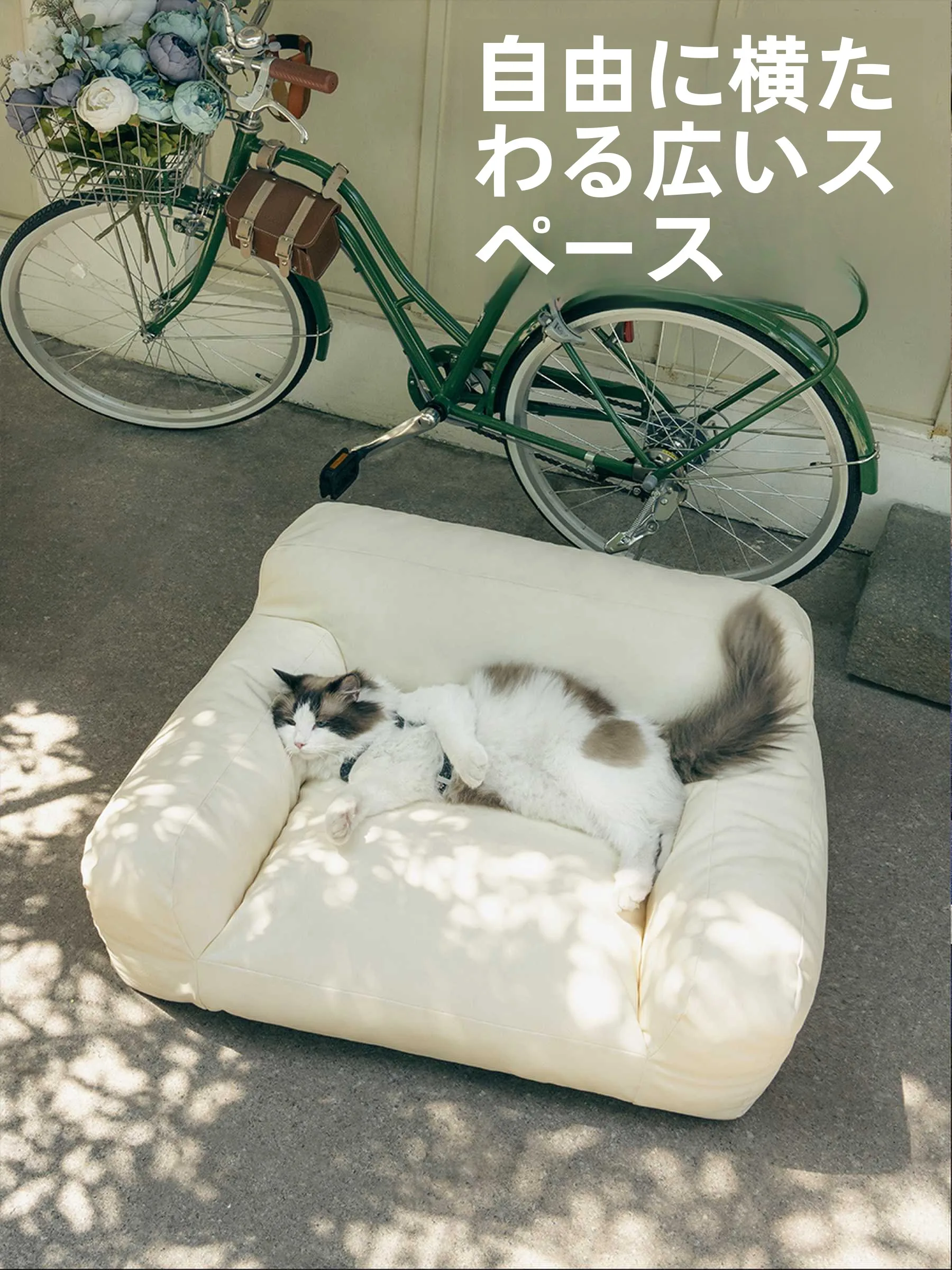 猫飼いが買ってよかったもの・悪かったもの正直に言う｜安心座れる場所の選び方徹底解説