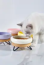 hocc 陶器製 猫用食器【高架設計・子猫用・食事皿】