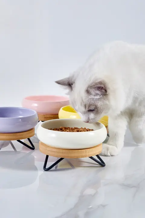 hocc 陶器製 猫用食器【高架設計・子猫用・食事皿】