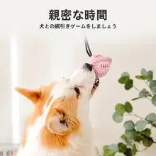 ペット用耐久性ゴムボールおもちゃ【噛むのに最適・家庭用・犬用】